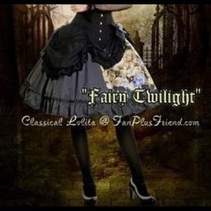 Fan plus friend fairy twilight skirt